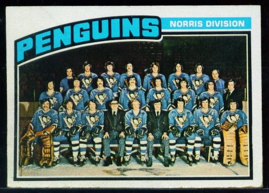 145 Pittsburgh Penguins Team